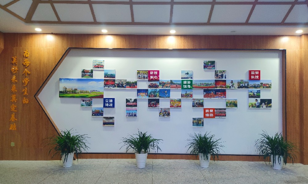 五育课程体系照片墙